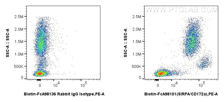 FC experiment of human peripheral blood leukocytes using Biotin-FcA98101