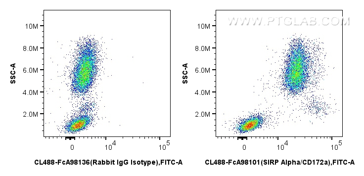 FC experiment of human peripheral blood leukocyte using CL488-FcA98101 FC experiment of human peripheral blood leukocyte using CL488-FcA98101