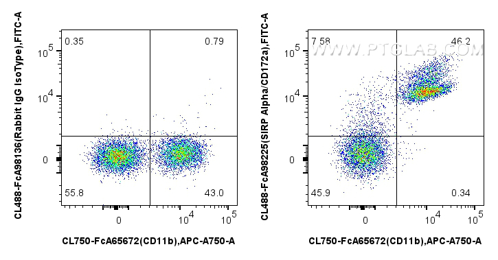 FC experiment of mouse bone marrow cells using CL488-FcA98225 FC experiment of mouse bone marrow cells using CL488-FcA98225