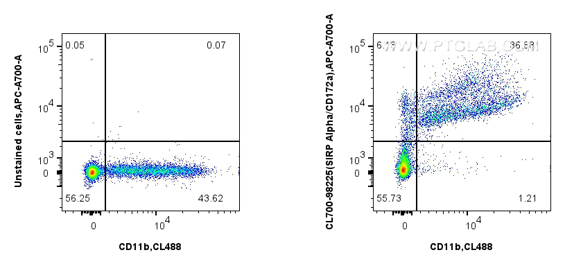 1x10^6 mouse bone marrow cells were surface stained with CoraLite® Plus 488 Anti-Mouse CD11b (M1/70) (<a class='green' href='/productredirect?CatalogNo=CL488-65055' target='_blank'>CL488-65055</a>, Clone: M1/70), and 0.25 ug CoraLite®700 Anti-Mouse SIRP Alpha/CD172a Rabbit RecAb (CL700-98225, Clone: 241794D9) or Rabbit IgG Isotype Control RecAb (<a class='green' href='/productredirect?CatalogNo=98136-1-RR' target='_blank'>98136-1-RR</a>, Clone: 240953C9). Cells were not fixed. FC experiment of mouse bone marrow cells using CL700-98225