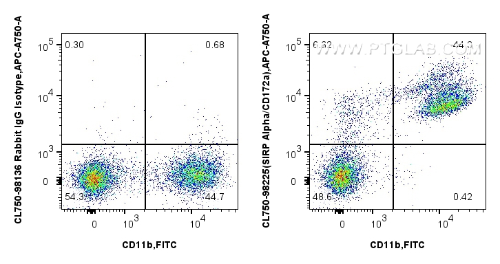 FC experiment of mouse bone marrow cells using CL750-98225