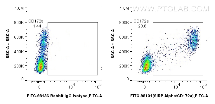 FC experiment of human PBMCs using FITC-98101 FC experiment of human PBMCs using FITC-98101