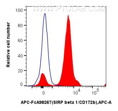 1x10^6 human peripheral blood leukocytes were surface stained with 5 ul APC Anti-Human SIRP beta 1/CD172b Rabbit RecAb (APC-FcA98267, Clone: 242115C10) (red) or APC Rabbit IgG Isotype Control RecAb (<a class='green' href='/productredirect?CatalogNo=APC-FcA98136' target='_blank'>APC-FcA98136</a>, Clone: 240953C9) (blue). Cells were not fixed. FC experiment of human peripheral blood leukocytes using APC-FcA98267