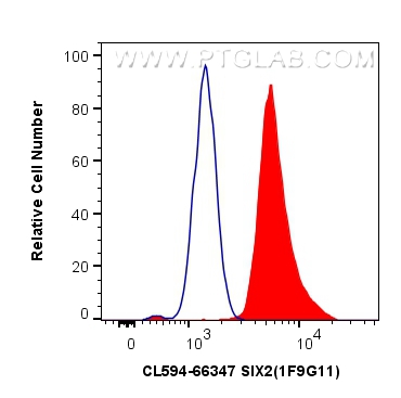 FC experiment of C2C12 using CL594-66347