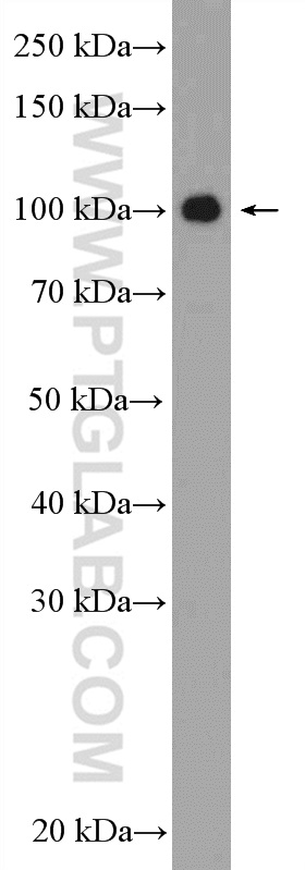 SIX5