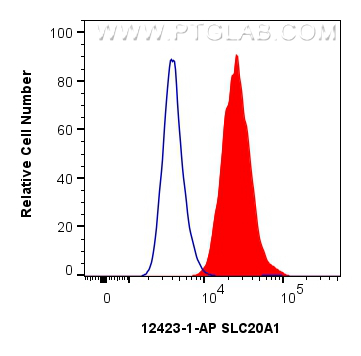 FC experiment of HeLa using 12423-1-AP