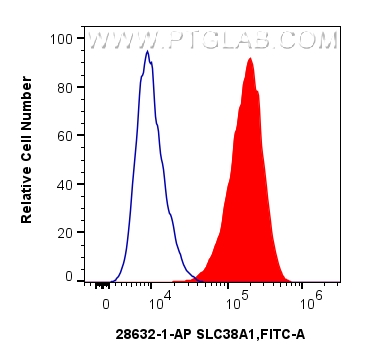 FC experiment of A549 using 28632-1-AP FC experiment of A549 using 28632-1-AP
