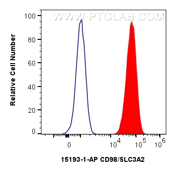 CD98/SLC3A2