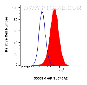FC experiment of Jurkat using 30031-1-AP