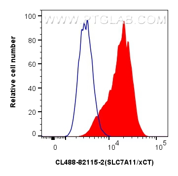 SLC7A11/xCT