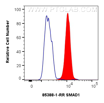 FC experiment of HeLa using 85388-1-RR