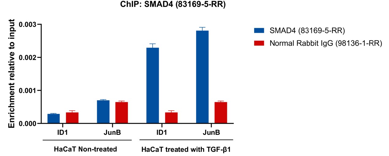 ChIP experiment of HaCaT using 83169-5-RR