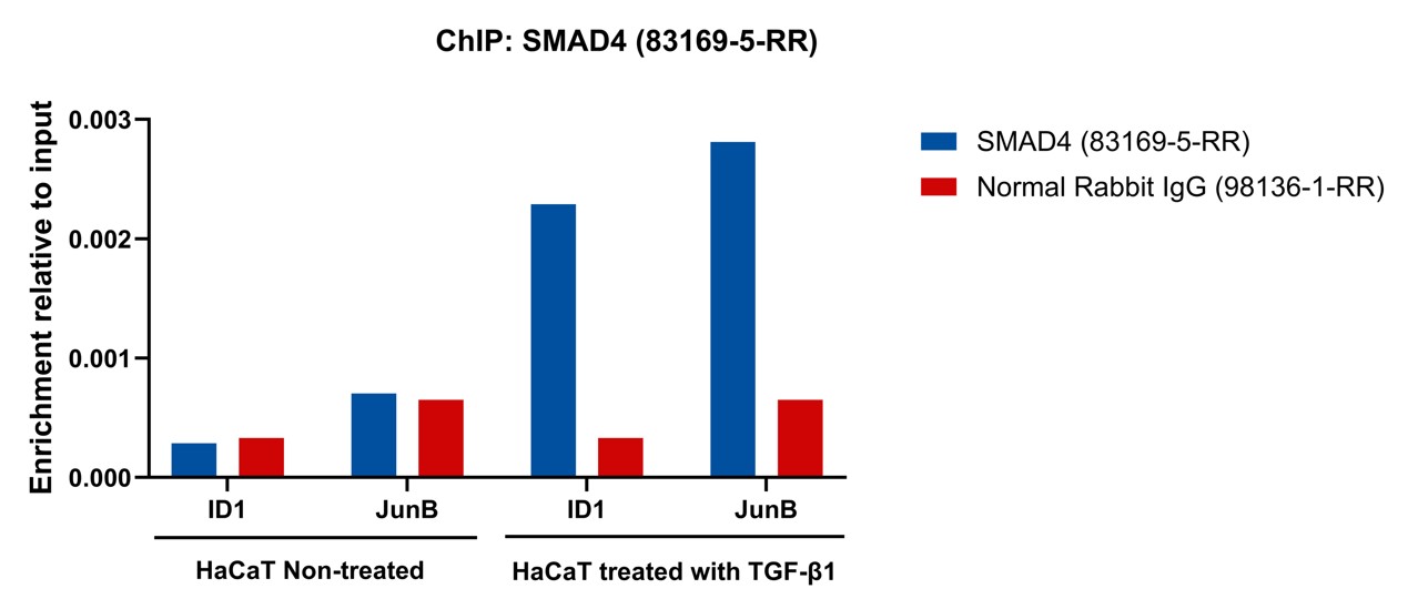 ChIP experiment of HaCaT using 83169-5-RR