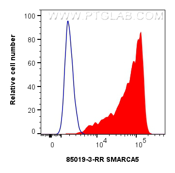 FC experiment of HeLa using 85019-3-RR (same clone as 85019-3-PBS)
