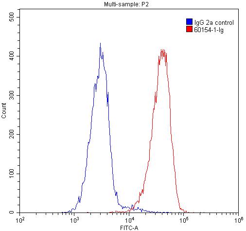 SMN (Human-Specific)