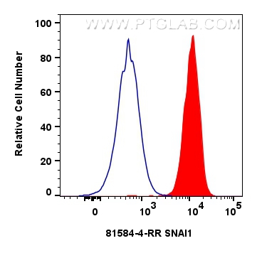 FC experiment of A549 using 81584-4-RR