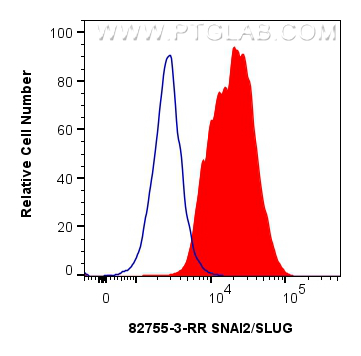 1x10^6 MCF-7 cells were intracellularly stained with 0.25 ug SNAI2/SLUG Recombinant monoclonal antibody (82755-3-RR, Clone:250290A2) and CoraLite®488-Conjugated Goat Anti-Rabbit IgG(H+L) (<a class='green' href='/productredirect?CatalogNo=SA00013-2' target='_blank'>SA00013-2</a>)(red), or 0.25 ug Rabbit IgG Isotype Control RecAb (<a class='green' href='/productredirect?CatalogNo=98136-1-RR' target='_blank'>98136-1-RR</a>, Clone: 240953C9) (blue). Cells were fixed and permeabilized with Transcription Factor Staining Buffer Kit (<a class='green' href='/productredirect?CatalogNo=PF00011' target='_blank'>PF00011</a>). FC experiment of MCF-7 using 82755-3-RR