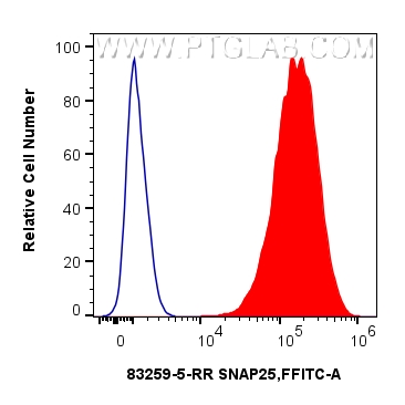 1x10^6 PC-12 cells were intracellularly stained with 0.25 ug SNAP25 Recombinant monoclonal antibody (83259-5-RR, Clone:240069F12) and CoraLite®488-Conjugated Goat Anti-Rabbit IgG(H+L) (<a class='green' href='/productredirect?CatalogNo=SA00013-2' target='_blank'>SA00013-2</a>)(red), or 0.25 ug Rabbit IgG Isotype Control RecAb (<a class='green' href='/productredirect?CatalogNo=98136-1-RR' target='_blank'>98136-1-RR</a>, Clone: 240953C9) (blue). Cells were fixed and permeabilized with Intracellular Flow Cytometry Fixation & Permeabilization Buffer Kit (<a class='green' href='/productredirect?CatalogNo=PF00019' target='_blank'>PF00019</a>). FC experiment of PC-12 using 83259-5-RR