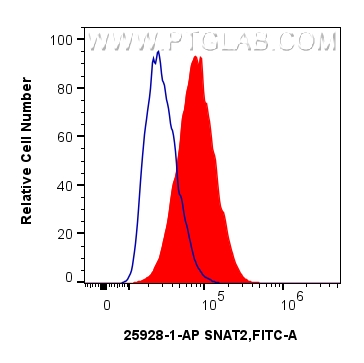 FC experiment of A549 using 25928-1-AP (same clone as 25928-1-PBS) FC experiment of A549 using 25928-1-AP (same clone as 25928-1-PBS)