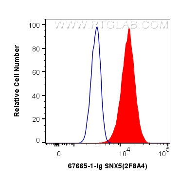 FC experiment of HeLa using 67665-1-Ig (same clone as 67665-1-PBS)