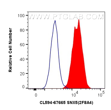 FC experiment of HeLa using CL594-67665