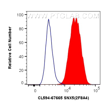 FC experiment of HeLa using CL594-67665