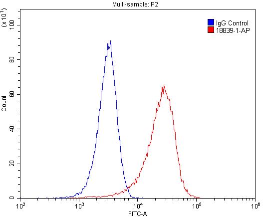 FC experiment of HeLa using 18839-1-AP