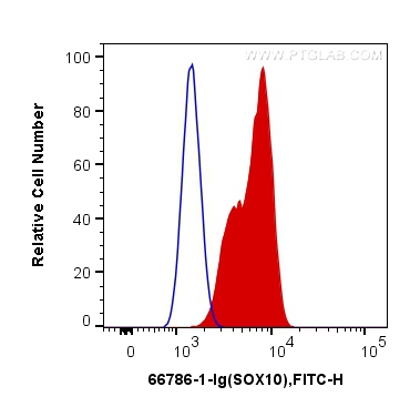 FC experiment of C6 using 66786-1-Ig