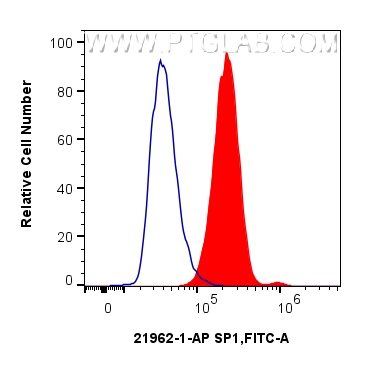 1x10^6 HeLa cells were intracellularly stained with 0.25 ug SP1 Polyclonal antibody (21962-1-AP) and CoraLite®488-Conjugated Goat Anti-Rabbit IgG(H+L) (<a class='green' href='/productredirect?CatalogNo=SA00013-2' target='_blank'>SA00013-2</a>)(red), or 0.25 ug Isotype Control (blue). Cells were fixed and permeabilized with Transcription Factor Staining Buffer Kit (<a class='green' href='/productredirect?CatalogNo=PF00011' target='_blank'>PF00011</a>). FC experiment of HeLa using 21962-1-AP