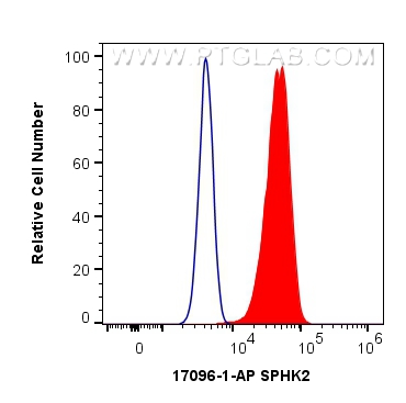 FC experiment of HeLa using 17096-1-AP