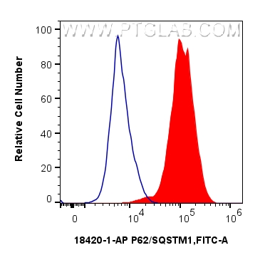 FC experiment of HEK-293 using 18420-1-AP