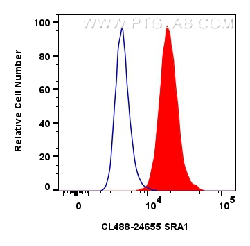 FC experiment of MCF-7 using CL488-24655