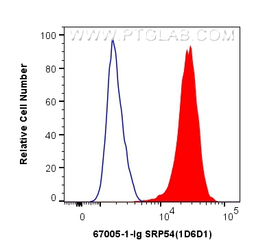 FC experiment of HeLa using 67005-1-Ig