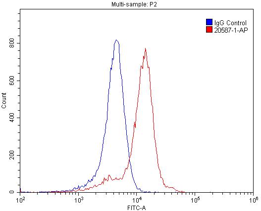 FC experiment of SH-SY5Y using 20587-1-AP