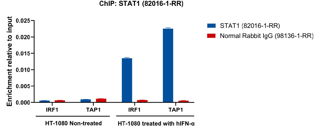 ChIP experiment of HT-1080 using 82016-1-RR
