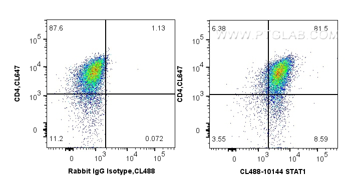 FC experiment of mouse Th1 using CL488-10144