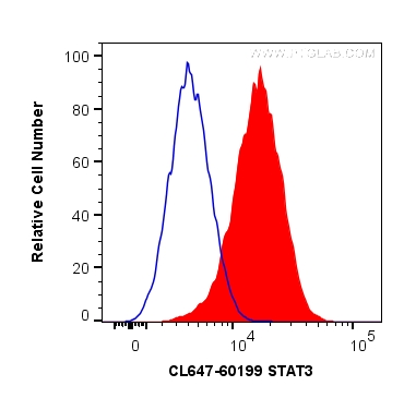 STAT3