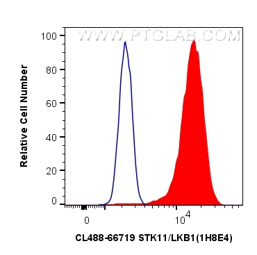 FC experiment of HeLa using CL488-66719