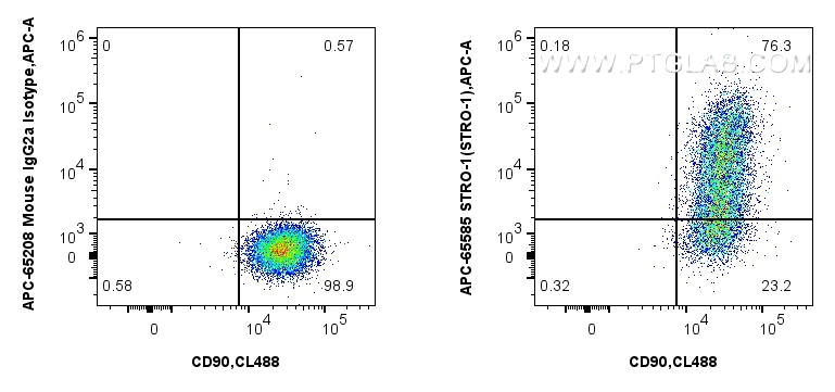 1x10^6 human bone marrow mesenchymal stromal cells were surface stained with CoraLite® Plus 488 Anti-Human CD90, and 5 ul APC Anti-Human STRO-1 (STRO-1) Mouse IgG2a RecAb (APC-65585, Clone: STRO-1) or APC Mouse IgG2a Isotype Control (C1.18.4) (<a class='green' href='/productredirect?CatalogNo=APC-65208' target='_blank'>APC-65208</a>, Clone: C1.18.4). Cells were incubated with FC Receptor Block prior to staining. Cells were not fixed. FC experiment of Human Bone marrow mesenchymal stromal cells using APC-65585