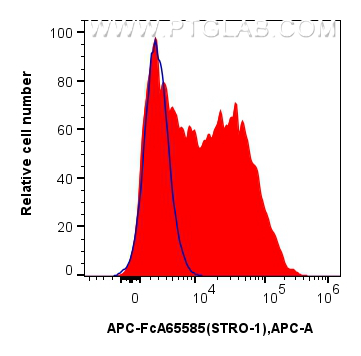 FC experiment of Human Bone marrow mesenchymal stromal cells using APC-FcA65585 FC experiment of Human Bone marrow mesenchymal stromal cells using APC-FcA65585