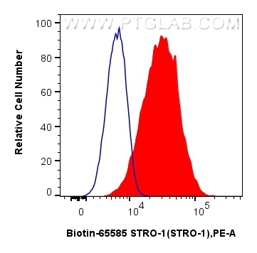 FC experiment of MG-63 using Biotin-65585