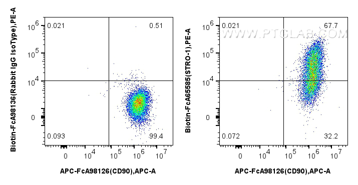 FC experiment of Human Bone marrow mesenchymal stromal cells using Biotin-FcA65585
