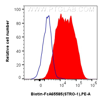 FC experiment of Human Bone marrow mesenchymal stromal cells using Biotin-FcA65585