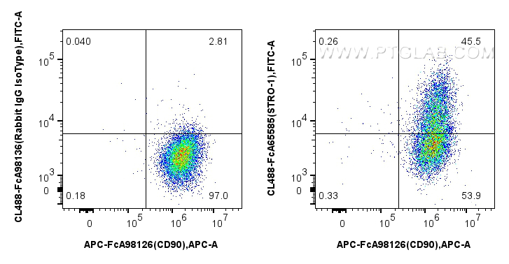 FC experiment of Human Bone marrow mesenchymal stromal cells using CL488-FcA65585