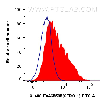 FC experiment of Human Bone marrow mesenchymal stromal cells using CL488-FcA65585