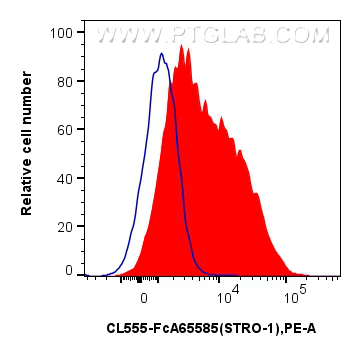FC experiment of Human Bone marrow mesenchymal stromal cells using CL555-FcA65585