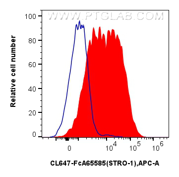 FC experiment of Human Bone marrow mesenchymal stromal cells using CL647-FcA65585 FC experiment of Human Bone marrow mesenchymal stromal cells using CL647-FcA65585