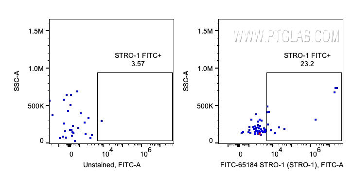 FC experiment of human blood using FITC-65184