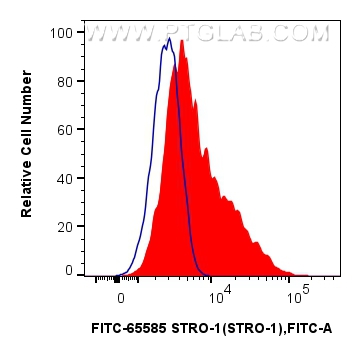 1x10^6 human bone marrow mesenchymal stromal cells were surface stained with 5 ul FITC Plus Anti-Human STRO-1 (STRO-1) Mouse IgG2a RecAb (FITC-65585, Clone: STRO-1) (red) or FITC Plus Mouse IgG2a Isotype Control (C1.18.4) (<a class='green' href='/productredirect?CatalogNo=FITC-65208' target='_blank'>FITC-65208</a>, Clone: C1.18.4) (blue). Cells were incubated with FC Receptor Block prior to staining. Cells were not fixed. FC experiment of Human Bone marrow mesenchymal stromal cells using FITC-65585
