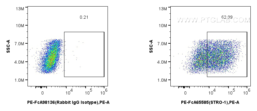 FC experiment of Human Bone marrow mesenchymal stromal cells using PE-FcA65585